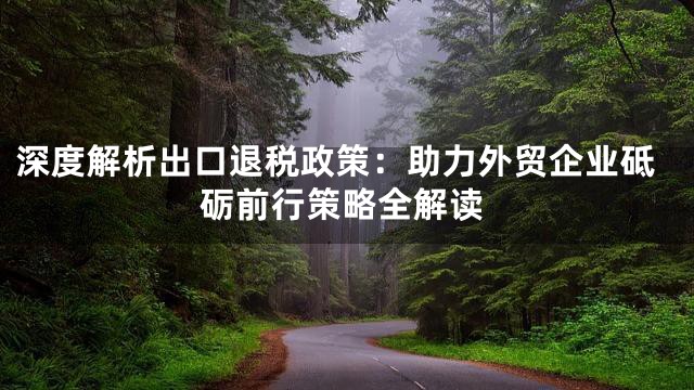 深度解析出口退税政策：助力外贸企业砥砺前行策略全解读