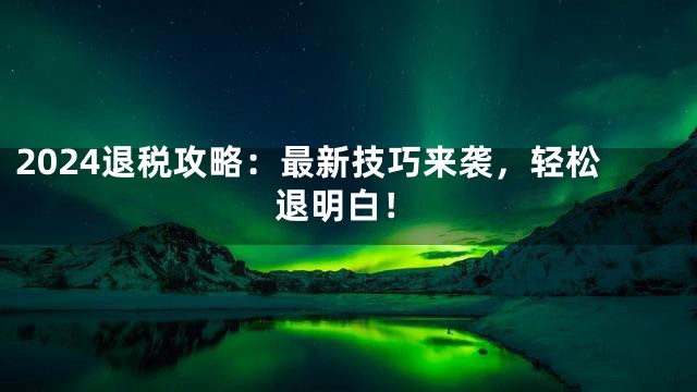 2024退税攻略：最新技巧来袭，轻松退明白！