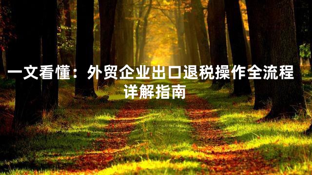 一文看懂：外贸企业出口退税操作全流程详解指南