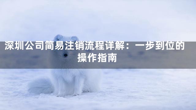 深圳公司简易注销流程详解：一步到位的操作指南