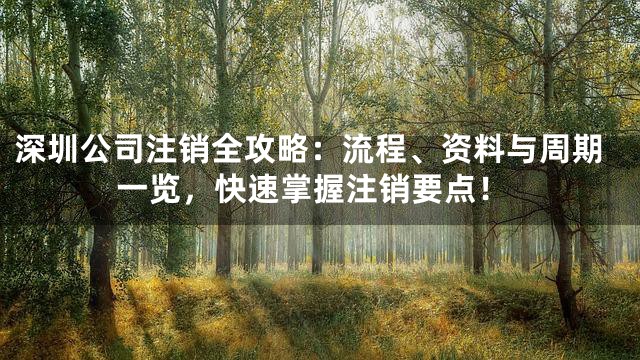 深圳公司注销全攻略：流程、资料与周期一览，快速掌握注销要点！