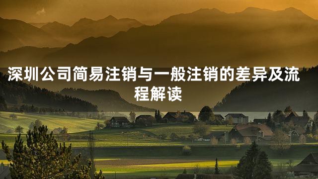 深圳公司简易注销与一般注销的差异及流程解读