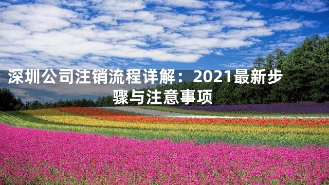深圳公司注销流程详解：2021最新步骤与注意事项