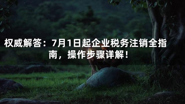 权威解答：7月1日起企业税务注销全指南，操作步骤详解！