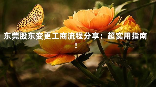 东莞股东变更工商流程分享：超实用指南！