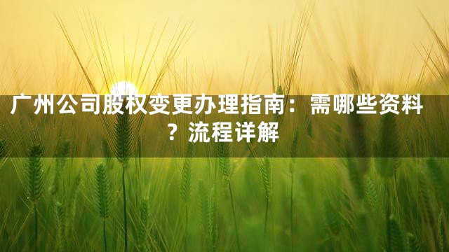 广州公司股权变更办理指南：需哪些资料？流程详解