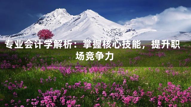 专业会计学解析：掌握核心技能，提升职场竞争力