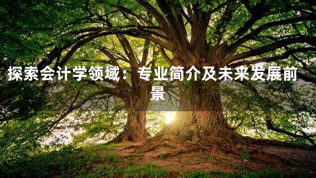 探索会计学领域：专业简介及未来发展前景