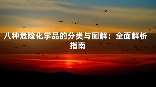 八种危险化学品的分类与图解：全面解析指南