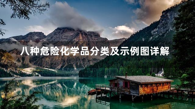 八种危险化学品分类及示例图详解