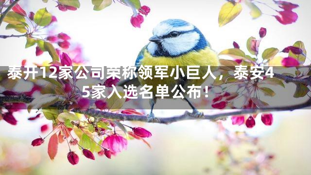 泰开12家公司荣称领军小巨人，泰安45家入选名单公布！