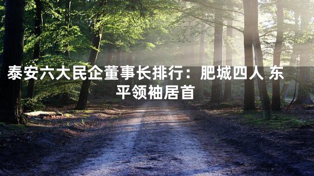泰安六大民企董事长排行：肥城四人 东平领袖居首