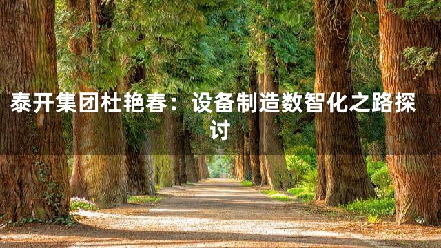 泰开集团杜艳春：设备制造数智化之路探讨