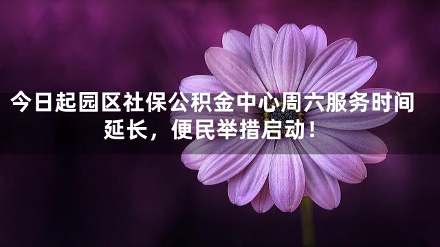 今日起园区社保公积金中心周六服务时间延长，便民举措启动！