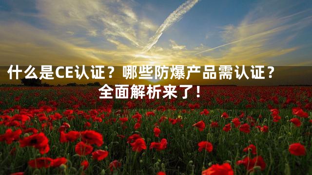 什么是CE认证？哪些防爆产品需认证？全面解析来了！