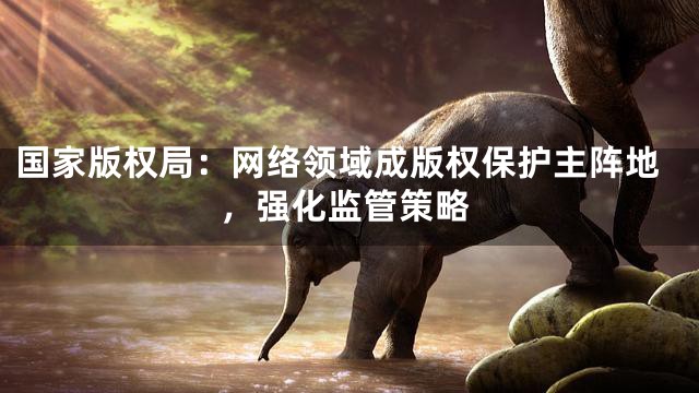 国家版权局：网络领域成版权保护主阵地，强化监管策略