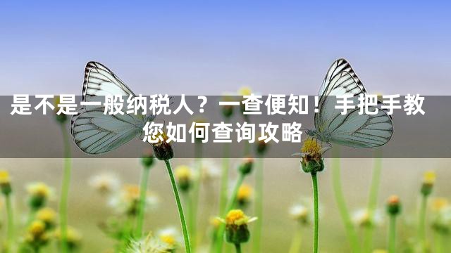 是不是一般纳税人？一查便知！手把手教您如何查询攻略