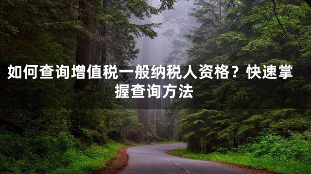 如何查询增值税一般纳税人资格？快速掌握查询方法