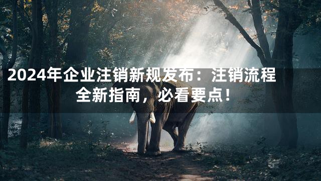 2024年企业注销新规发布：注销流程全新指南，必看要点！