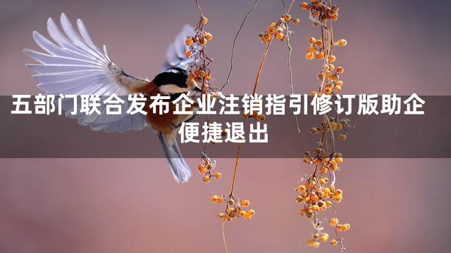 五部门联合发布企业注销指引修订版助企便捷退出