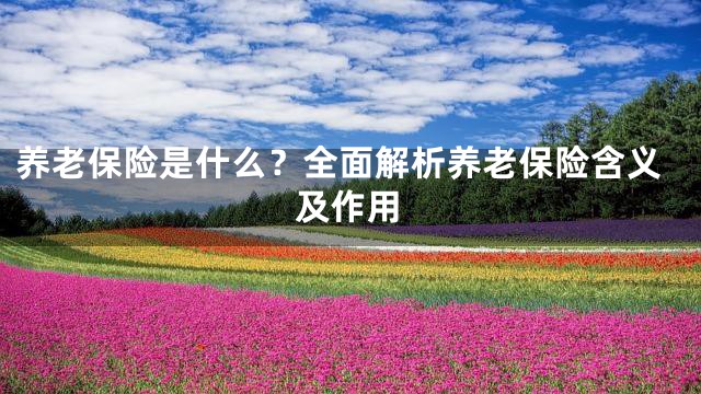 养老保险是什么？全面解析养老保险含义及作用