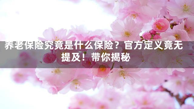 养老保险究竟是什么保险？官方定义竟无提及！带你揭秘