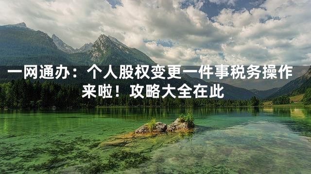 一网通办：个人股权变更一件事税务操作来啦！攻略大全在此