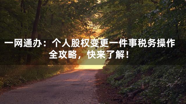 一网通办：个人股权变更一件事税务操作全攻略，快来了解！