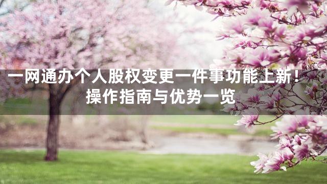 一网通办个人股权变更一件事功能上新！操作指南与优势一览