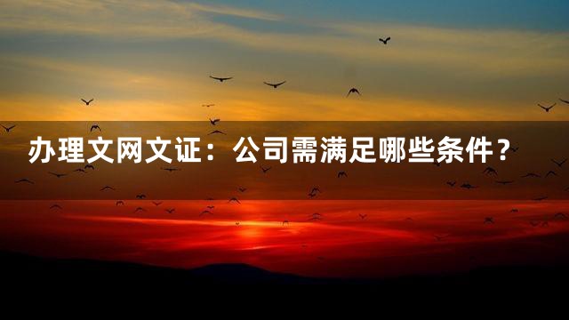 办理文网文证：公司需满足哪些条件？