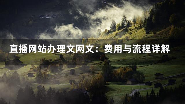 直播网站办理文网文：费用与流程详解