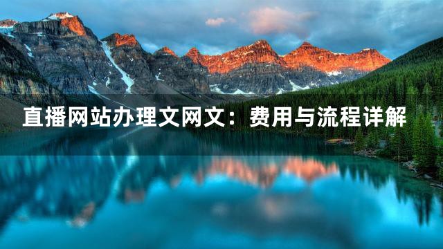 直播网站办理文网文：费用与流程详解