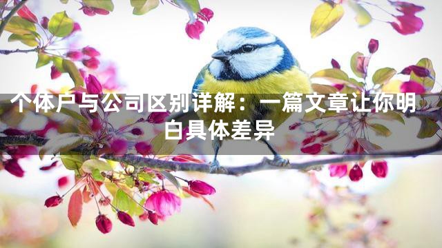 个体户与公司区别详解：一篇文章让你明白具体差异