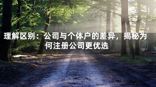 理解区别：公司与个体户的差异，揭秘为何注册公司更优选