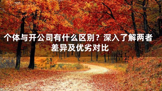 个体与开公司有什么区别？深入了解两者差异及优劣对比