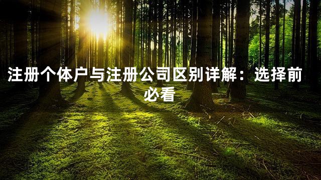 注册个体户与注册公司区别详解：选择前必看