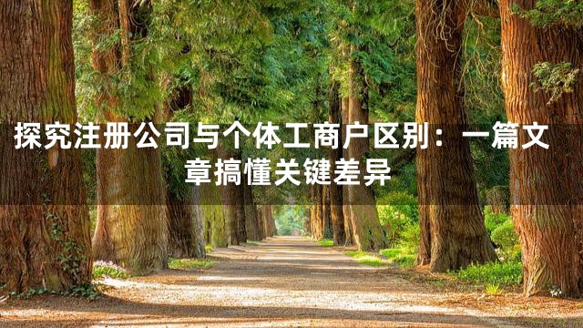探究注册公司与个体工商户区别：一篇文章搞懂关键差异