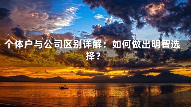 个体户与公司区别详解：如何做出明智选择？