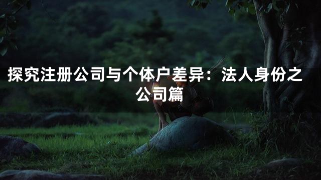 探究注册公司与个体户差异：法人身份之公司篇