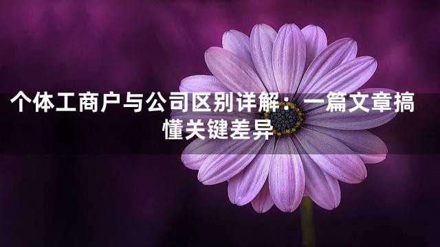 个体工商户与公司区别详解：一篇文章搞懂关键差异