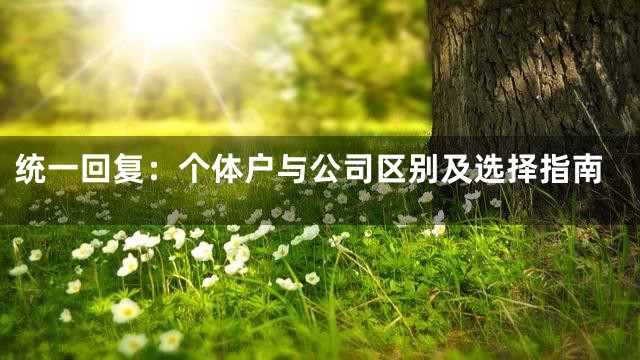 统一回复：个体户与公司区别及选择指南