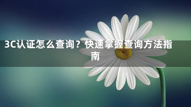 3C认证怎么查询？快速掌握查询方法指南