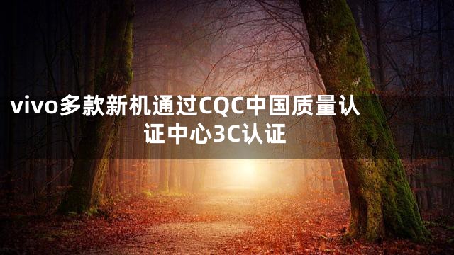 vivo多款新机通过CQC中国质量认证中心3C认证