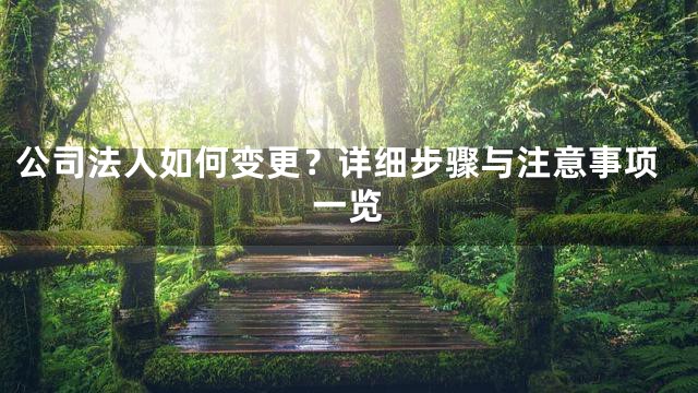 公司法人如何变更？详细步骤与注意事项一览