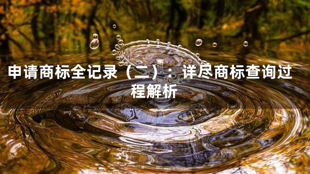 申请商标全记录（二）：详尽商标查询过程解析