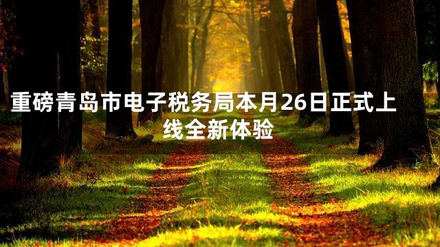 重磅青岛市电子税务局本月26日正式上线全新体验