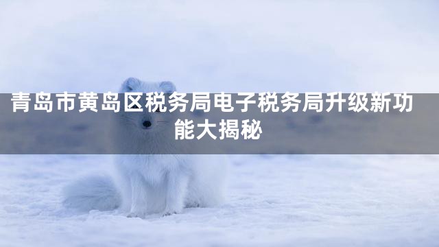 青岛市黄岛区税务局电子税务局升级新功能大揭秘