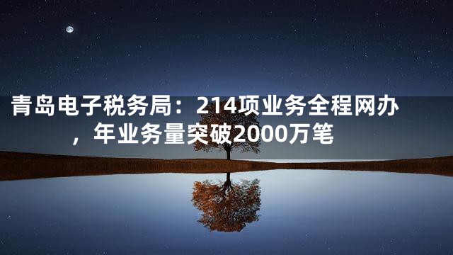 青岛电子税务局：214项业务全程网办，年业务量突破2000万笔