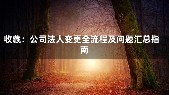 收藏：公司法人变更全流程及问题汇总指南