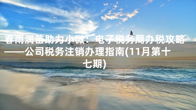 春雨润苗助力小微：电子税务局办税攻略——公司税务注销办理指南(11月第十七期)